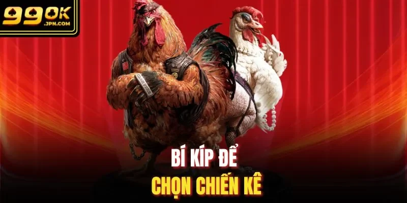Bí kíp để chọn chiến kê