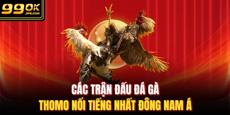 Các trận đấu đá gà thomo nổi tiếng nhất Đông Nam Á