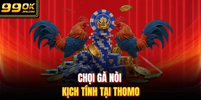 Chọi gà nòi kịch tính tại Thomo