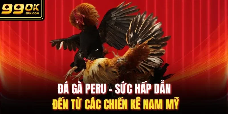 đá gà Peru
