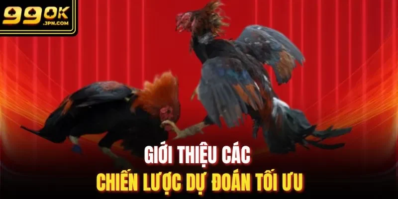 Giới thiệu các chiến lược dự đoán tối ưu