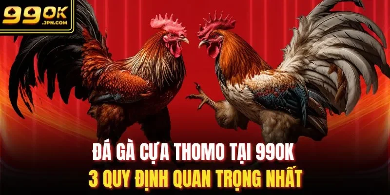 Đá Gà Cựa Thomo Tại 99OK - 3 Quy Định Quan Trọng Nhất