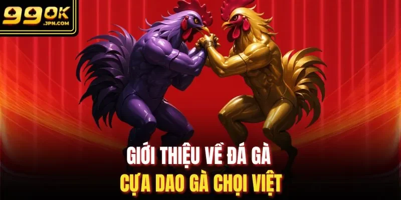 Giới thiệu về đá gà cựa dao gà chọi Việt