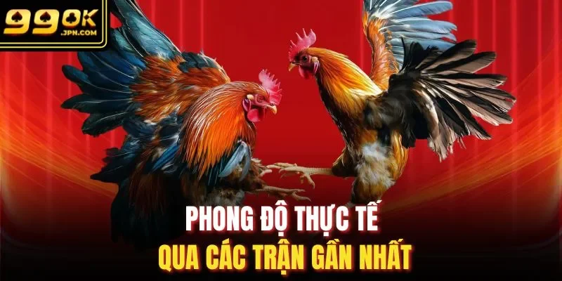 Phong độ thực tế qua các trận gần nhất